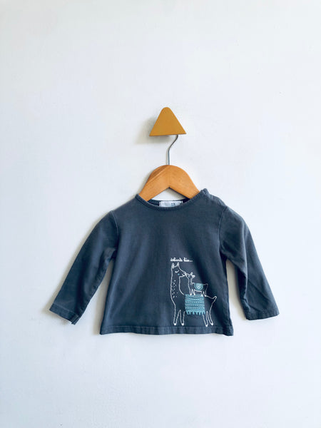 Zara ‘Delicate Kiss’ Llama Top (9-12M)