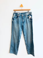 Gap 90's Loose Mid Rise Jeans (28R Adult)