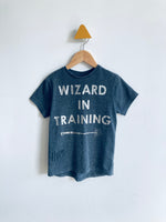 Harry Potter Wizard In Training (5-6Y)